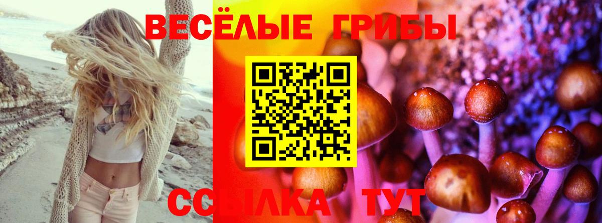 Галлюциногенные грибы Psilocybine cubensis Горячий Ключ